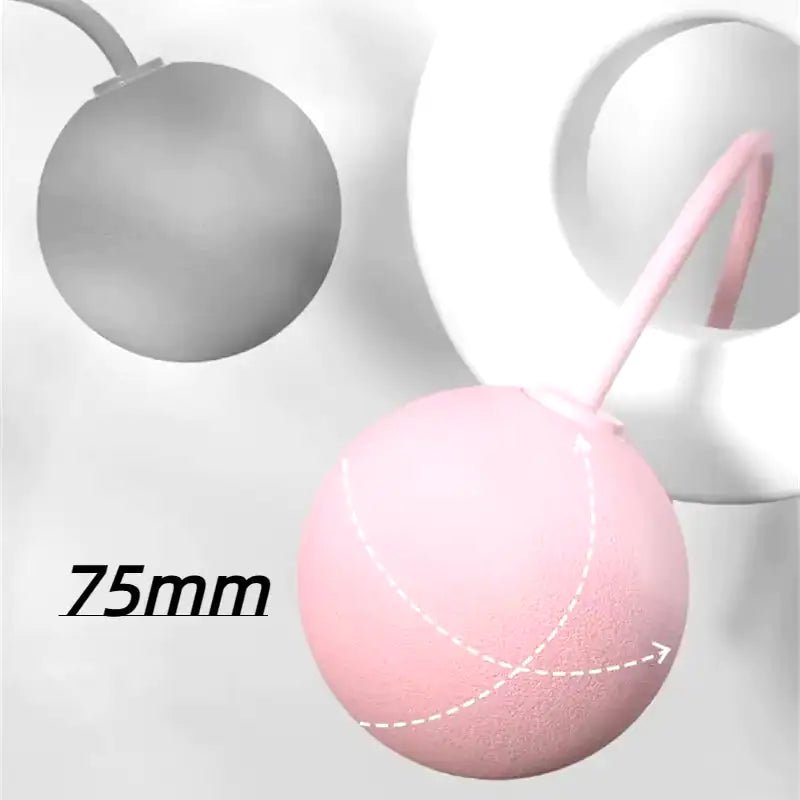 PHONE ACCESSOIRES